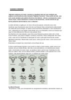_SAGRADO FEMININO_ (1).pdf
